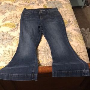 Lucky Brand Emma Flare Jean